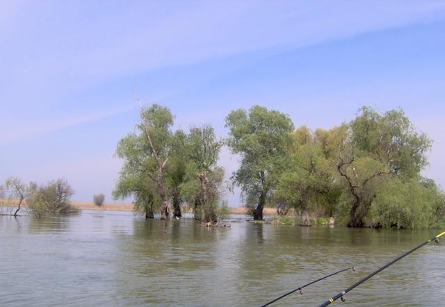 Doar ... NATURA - 3 - mila-23---aprilie-2008-008.jpg